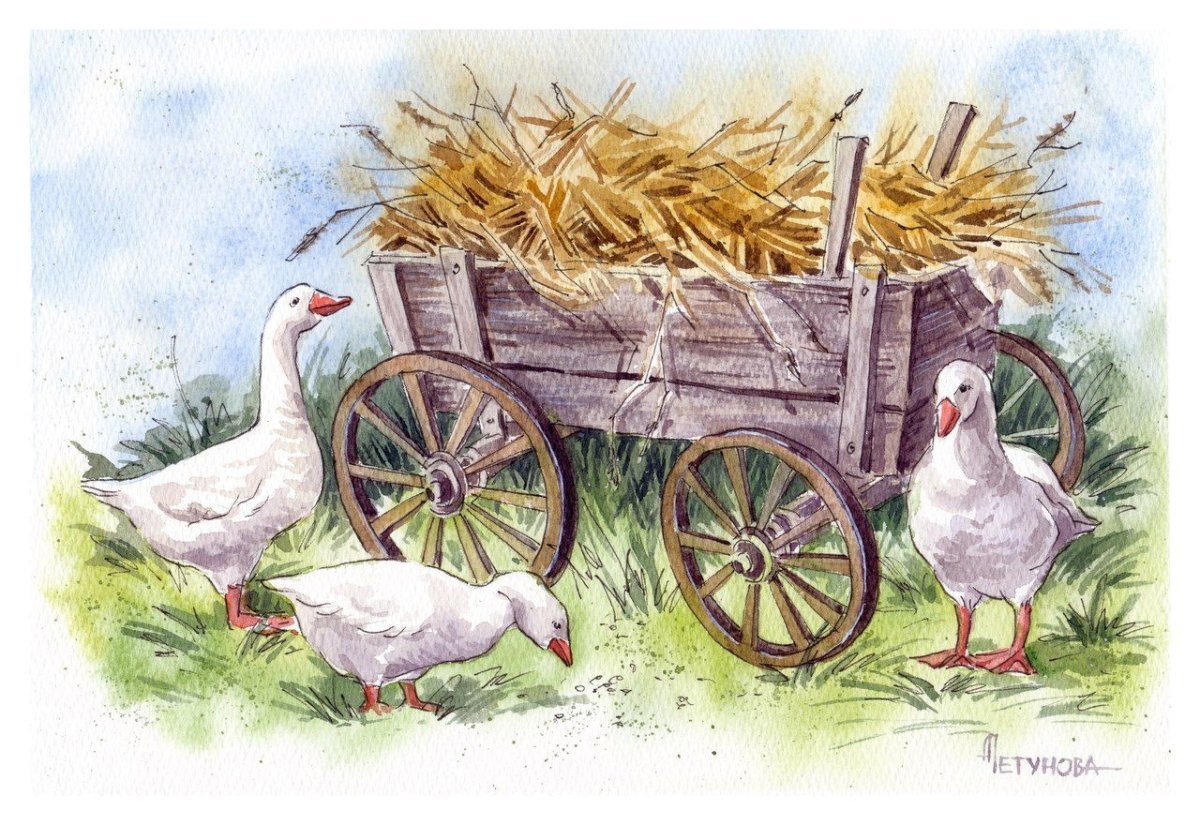 Гуси Анны Петуновой