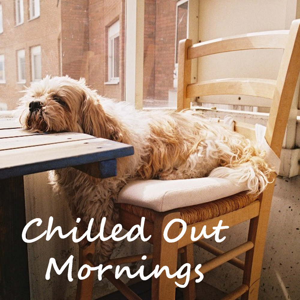 Устать как собака