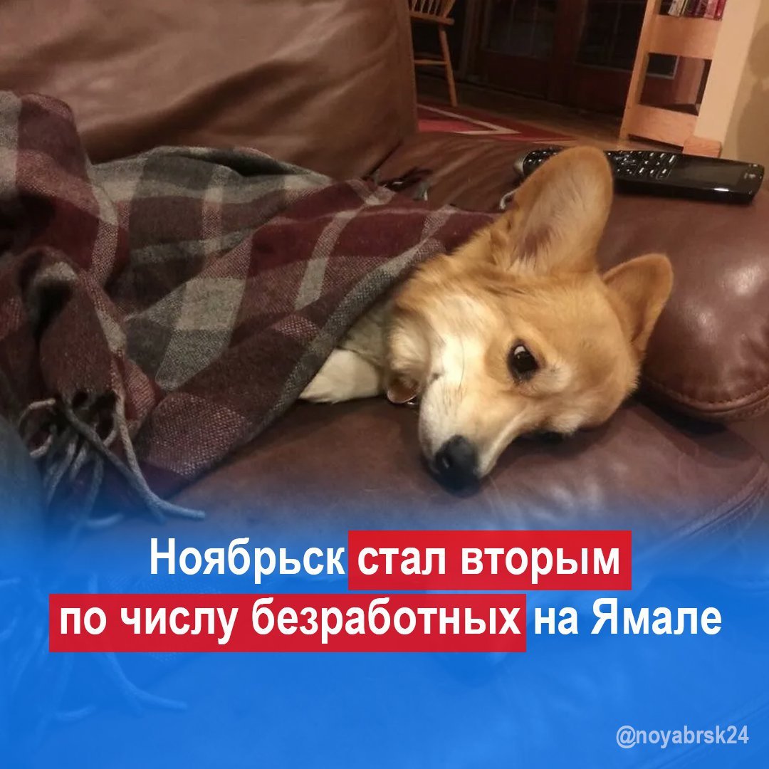 Уставшая собачка