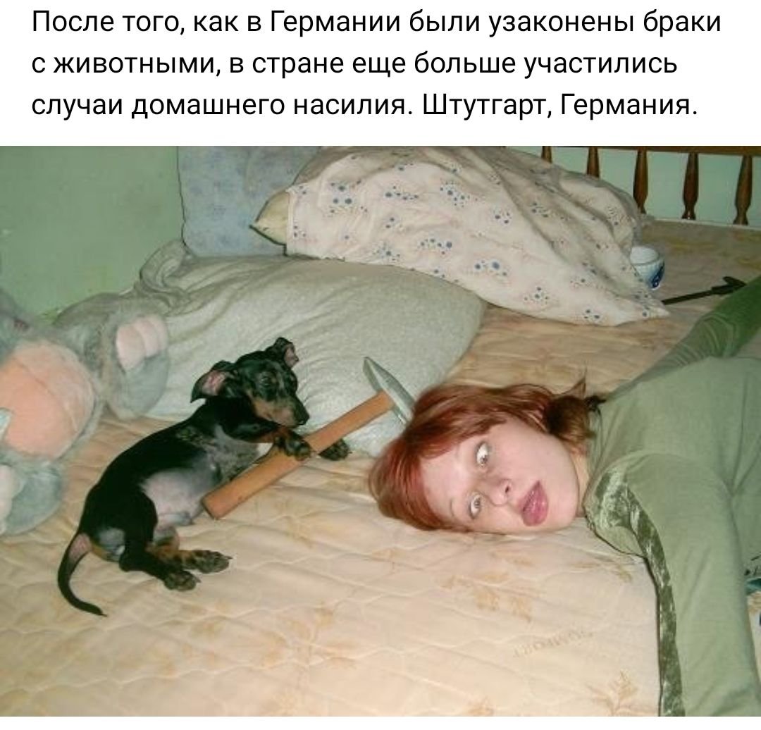 У вас собака служебная