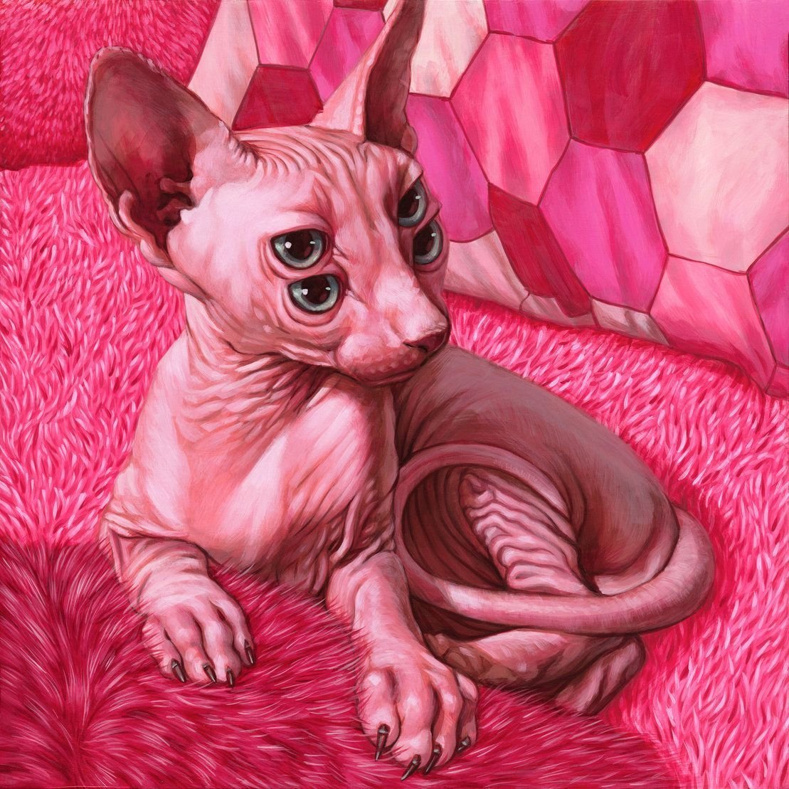 Casey Weldon Cats