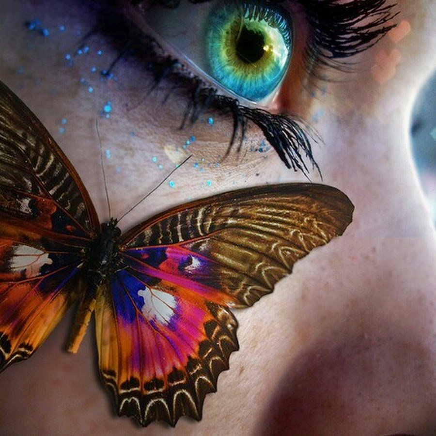 Бабочки фэнтези