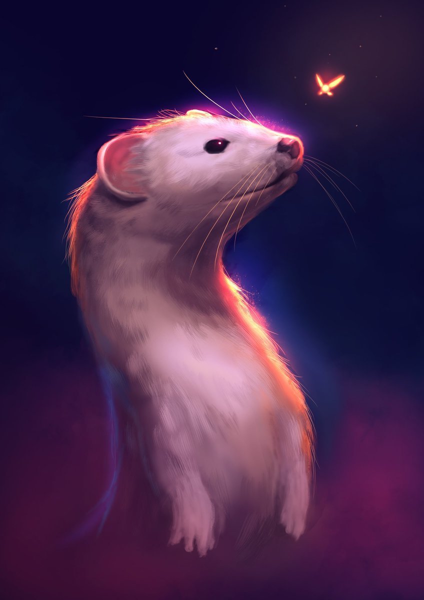 Арты хорьков