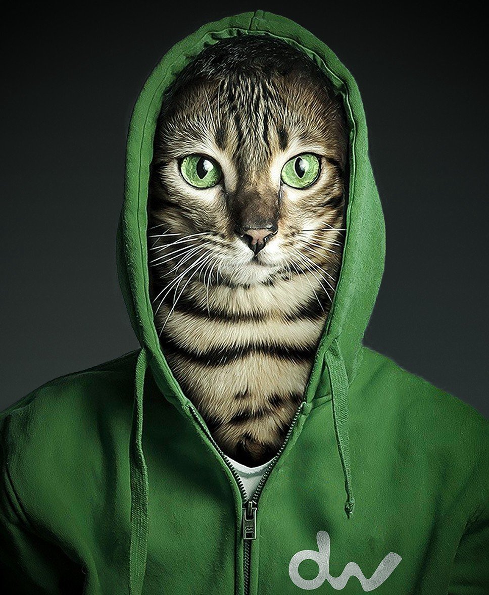 Кот ниндзя Наруто