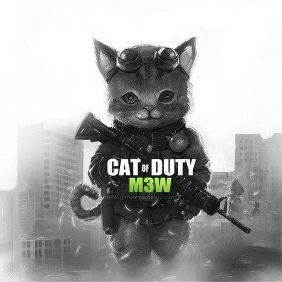 Все собаки дураки