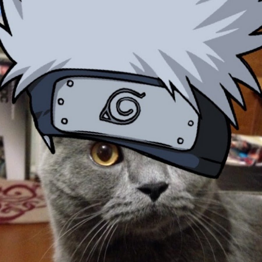 Кот в человеческой одежде