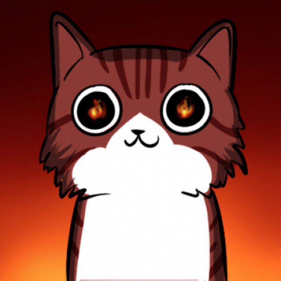 Кот в костюме Супермена