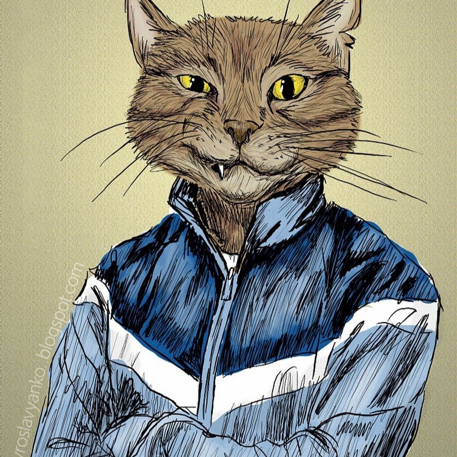 Кот в капюшоне