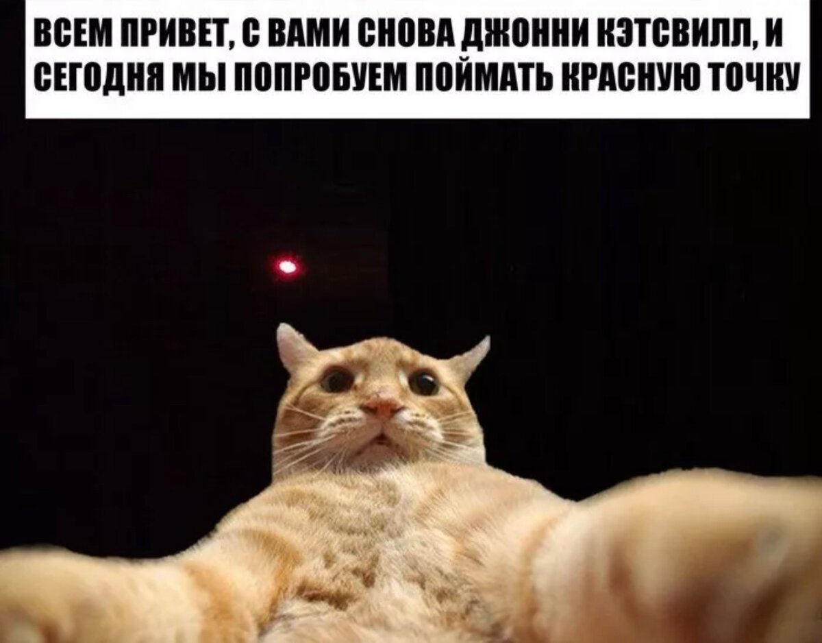 Киты маму мав