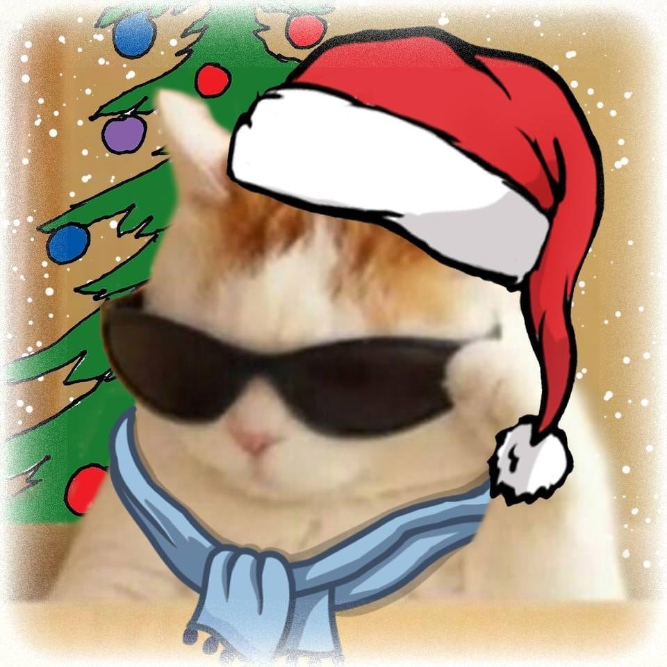 Маленький Беленький котенок