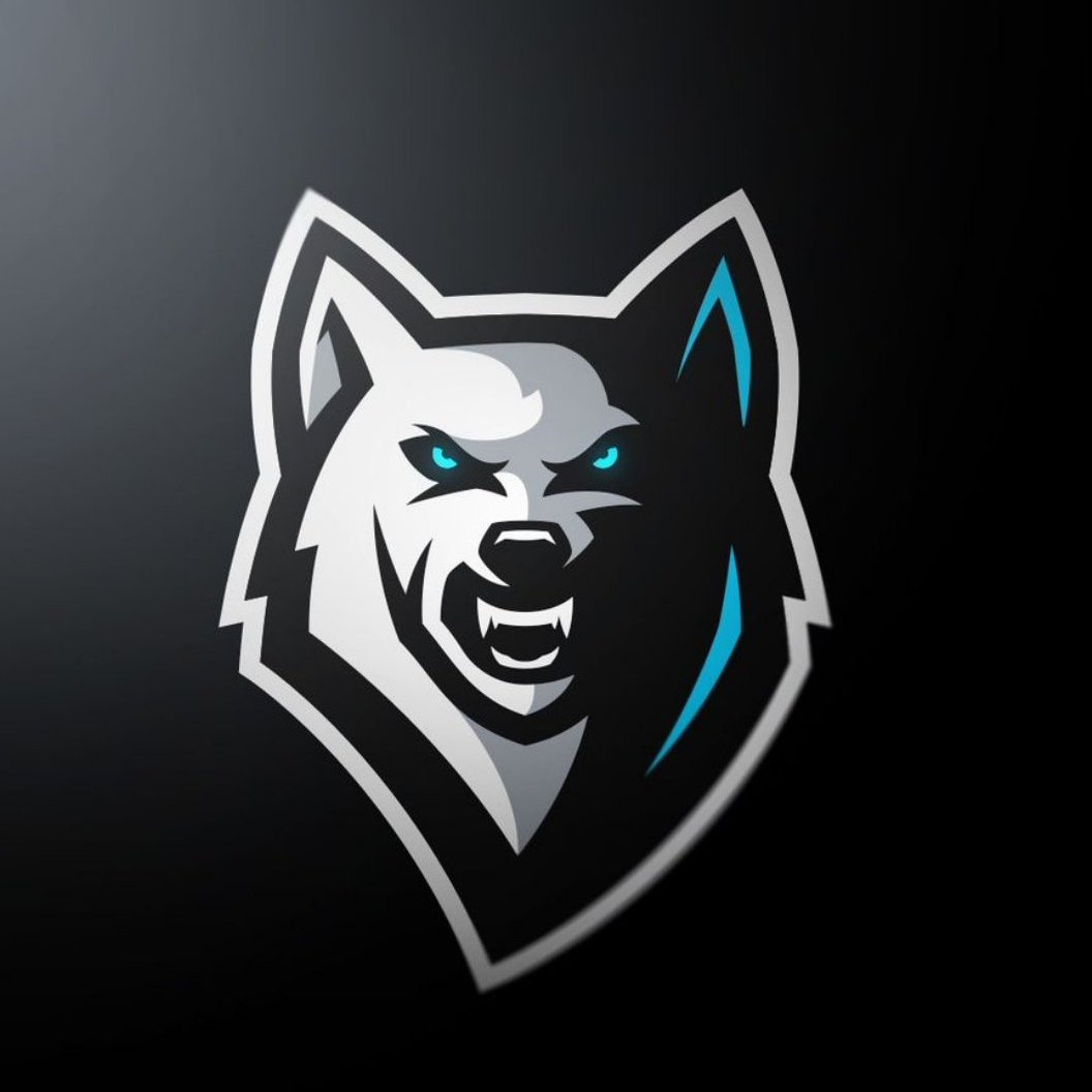 Флоппа Шлеппа