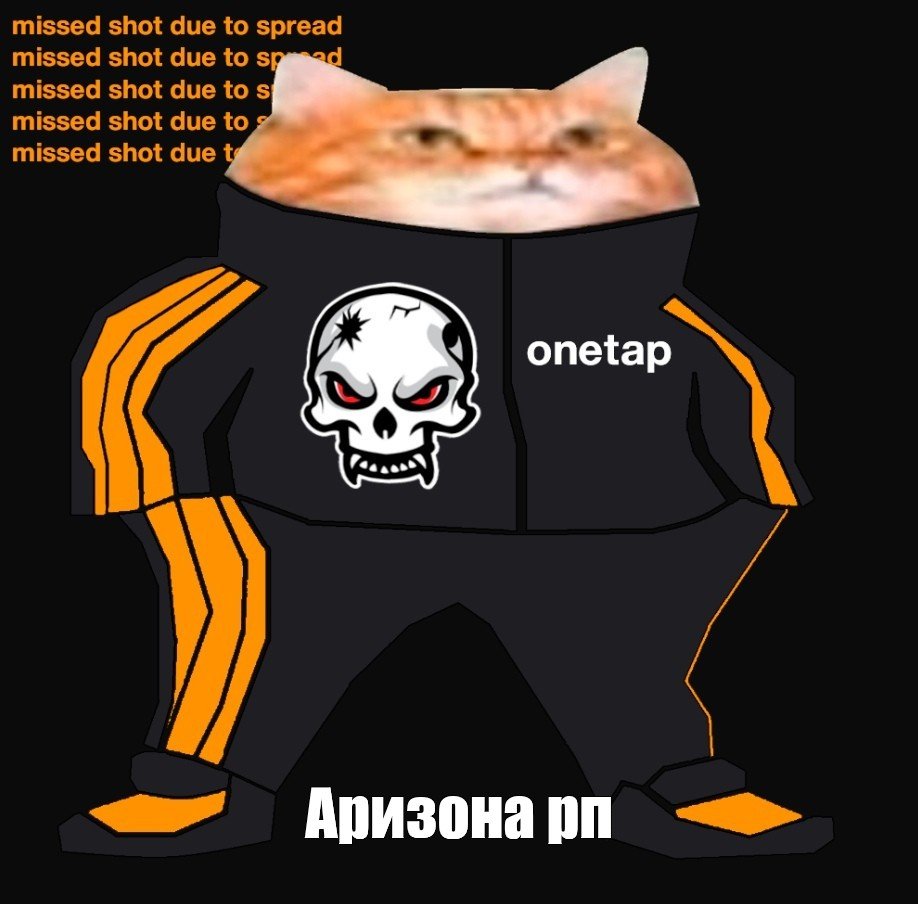 Коты в спортивных костюмах