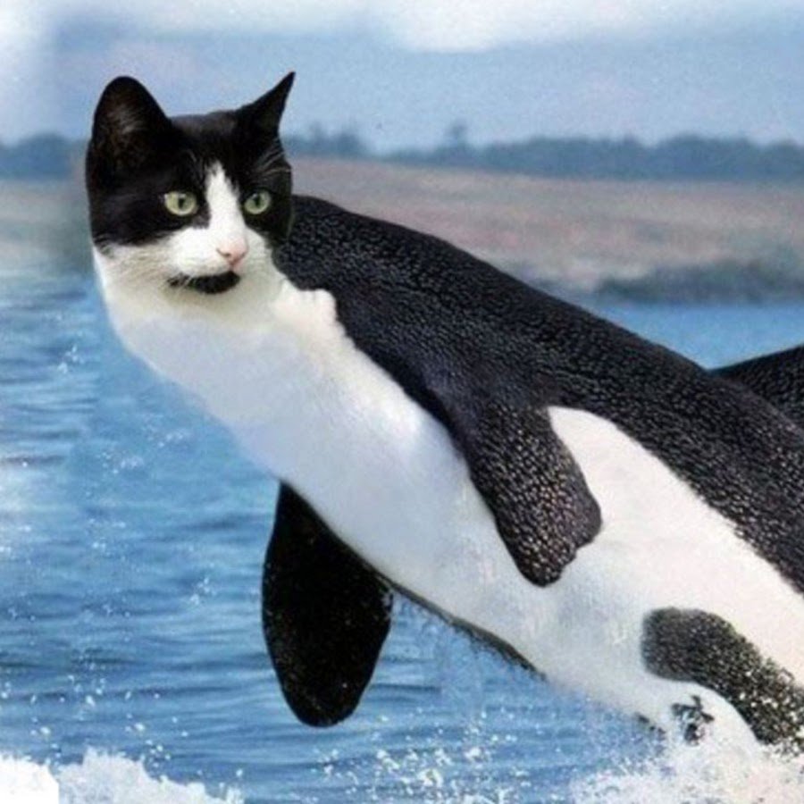 Художника Rihards Donskis (apofiss)