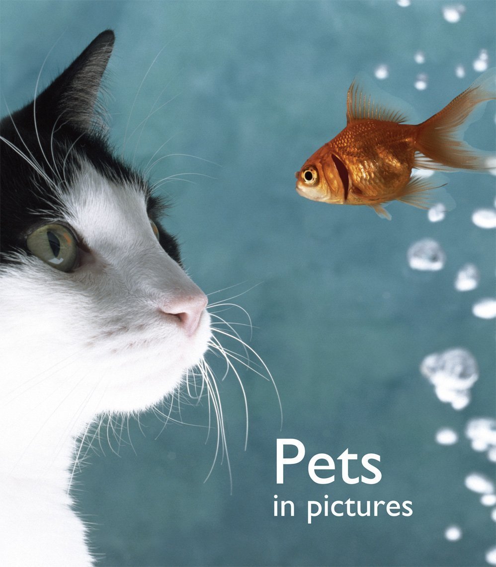 Кот с рыбой