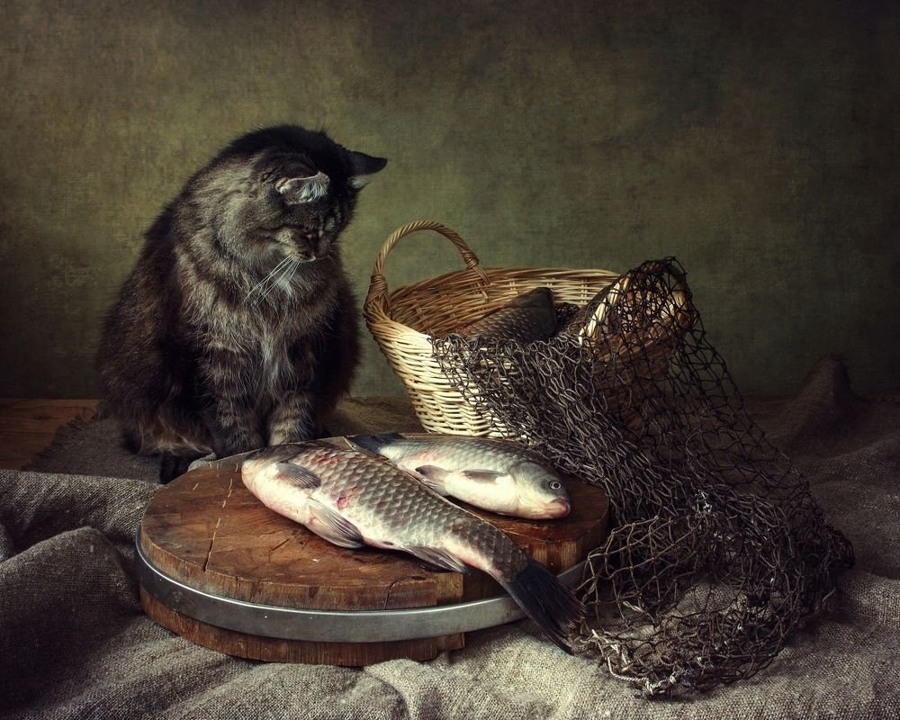 Кот с рыбой