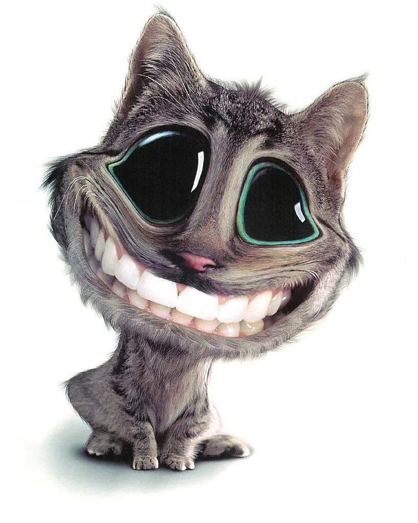 Кот непонел глад ВАЛАКАС