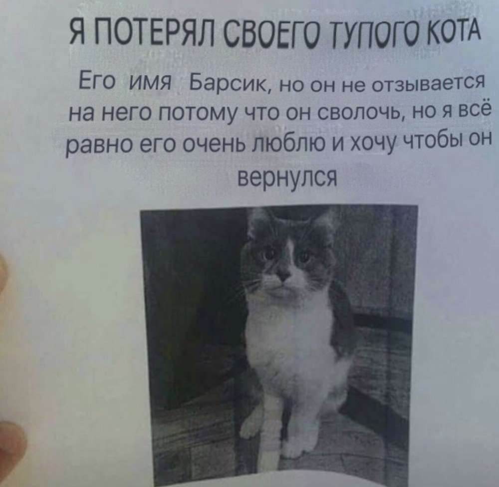 Орущий кролик