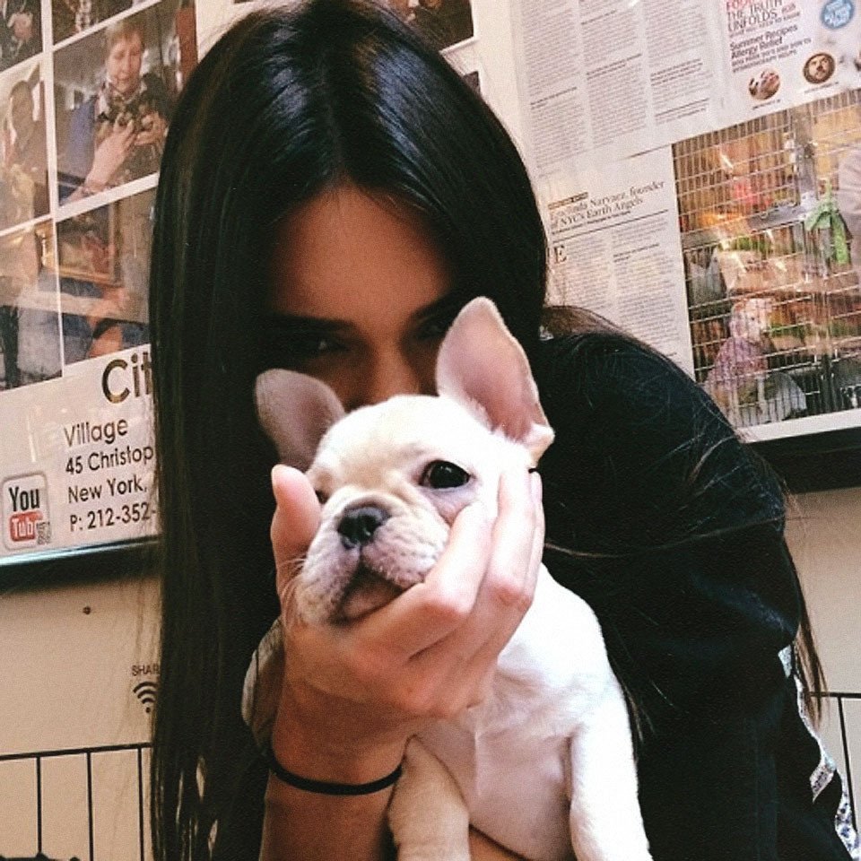 Брюнетка с собачкой