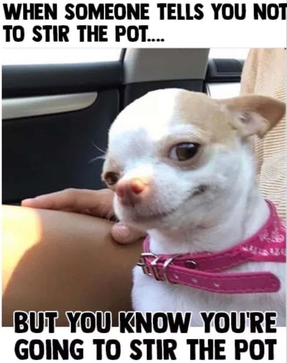 Накрашенная собака