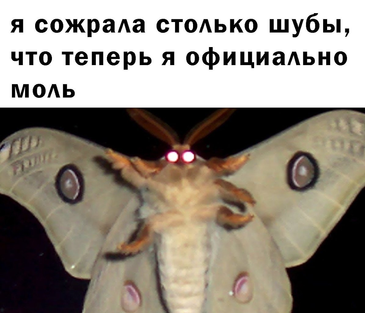 Гигантские бабочки