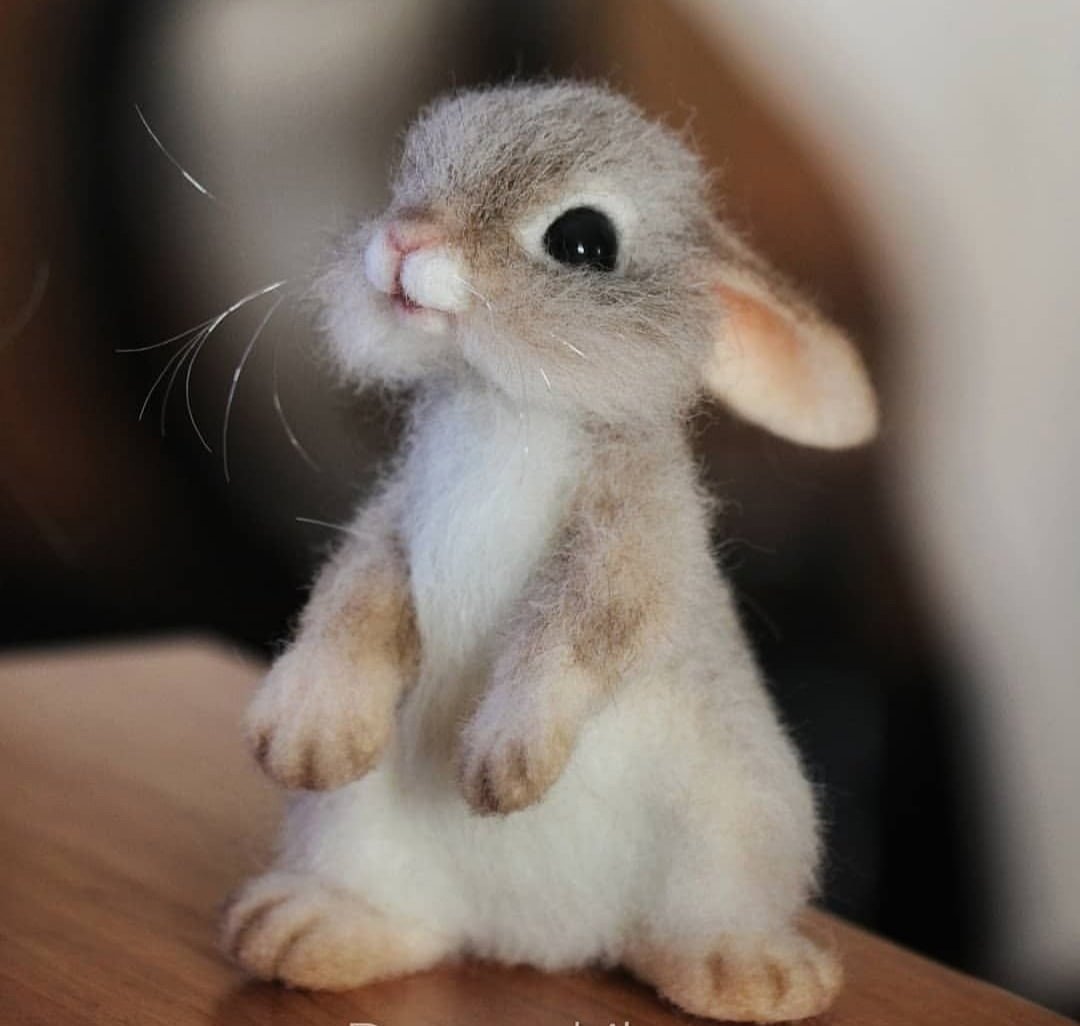 Маленькие кролики