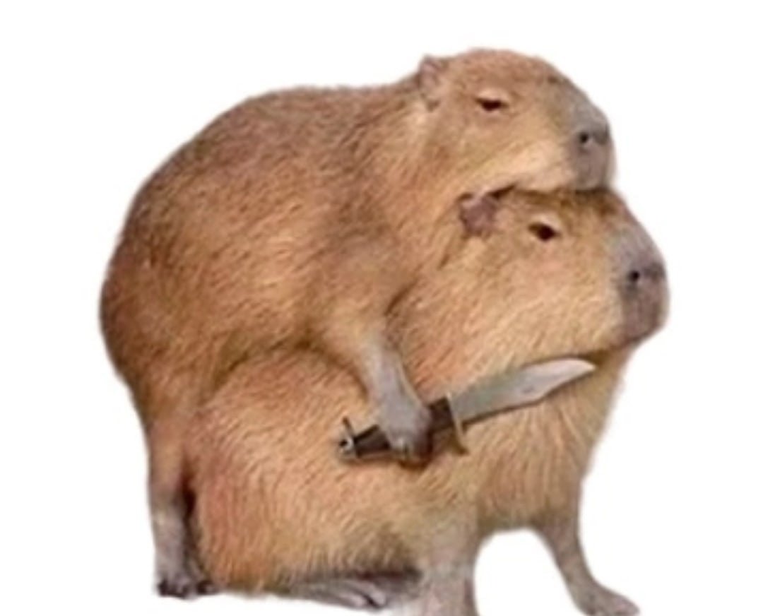 Капибара улыбается