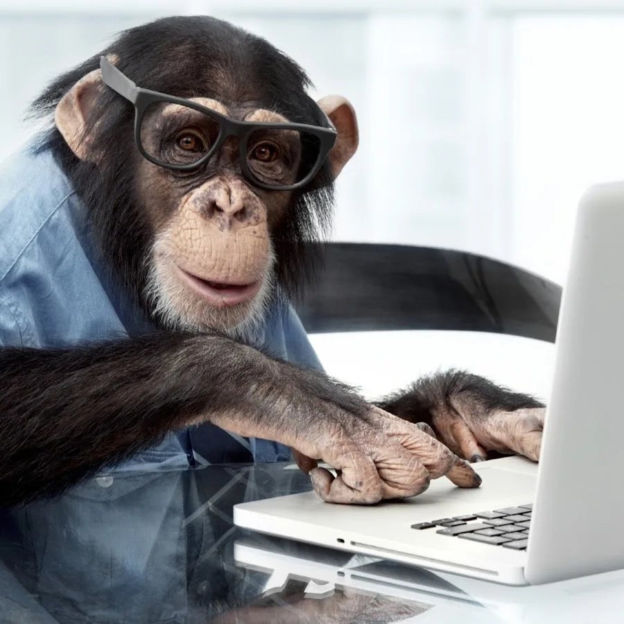 Горилла и шимпанзе