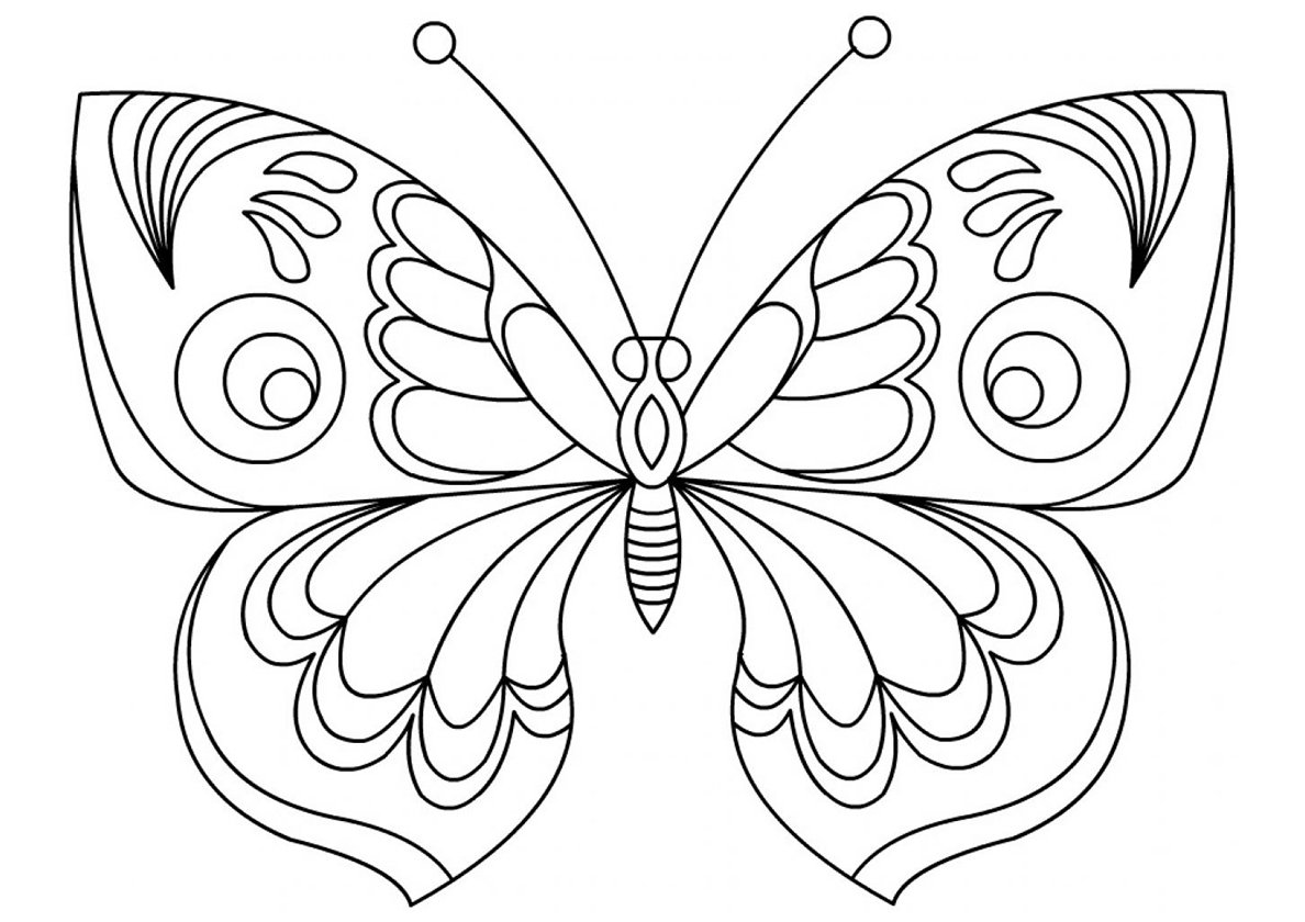 Раскраска "бабочки"