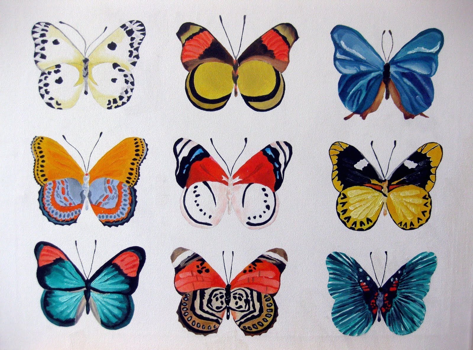 Разные крылья бабочек. Узоры на крыльях бабочки. Узоры бабочек на крыльях для детей. Бабочки занятие для детей. Симметричная бабочка.