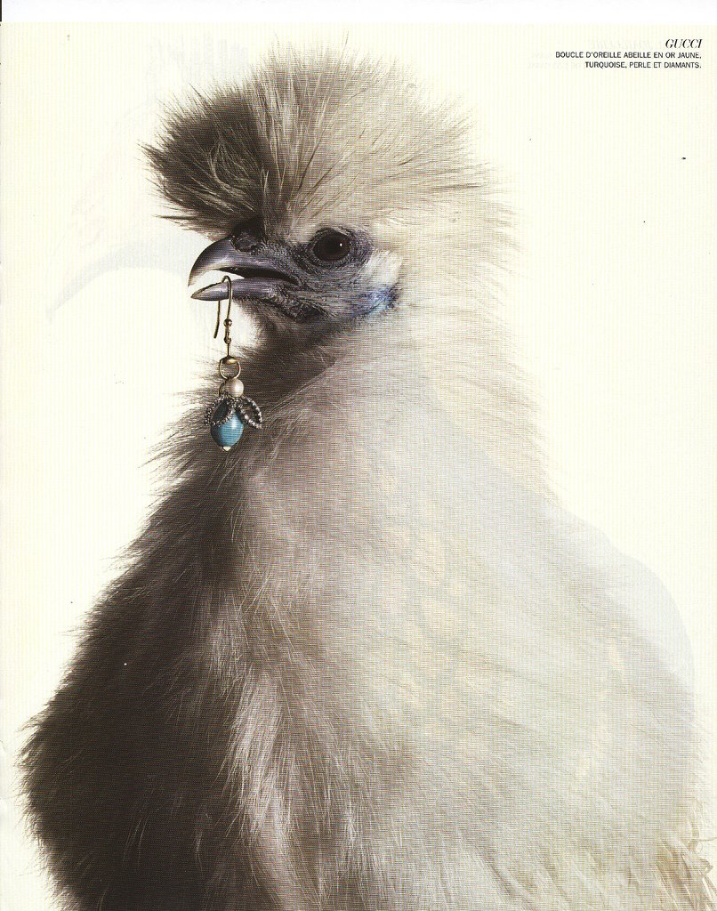 Гламурная Курочка