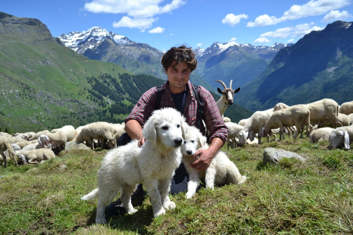 Камаргские пастухи