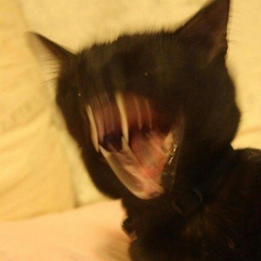 Укусил за ухо