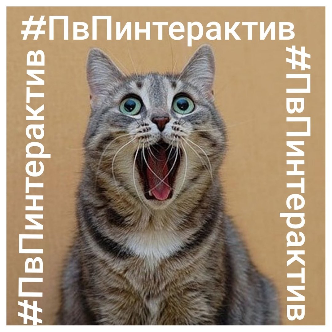 Кот с открытым ртом арт