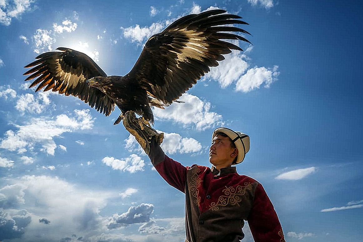 Kyrgyzstan Буркут