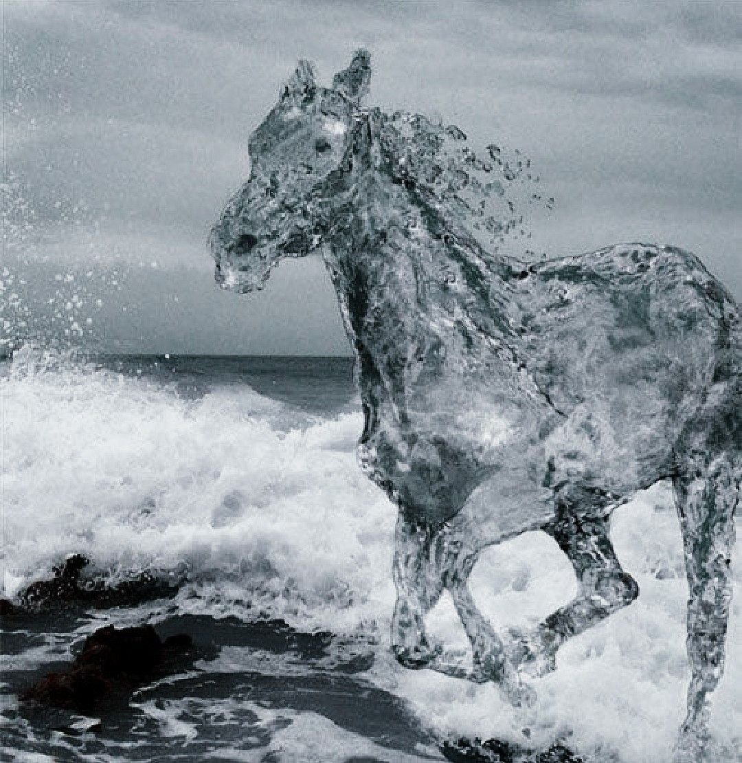 Терсан лошадь