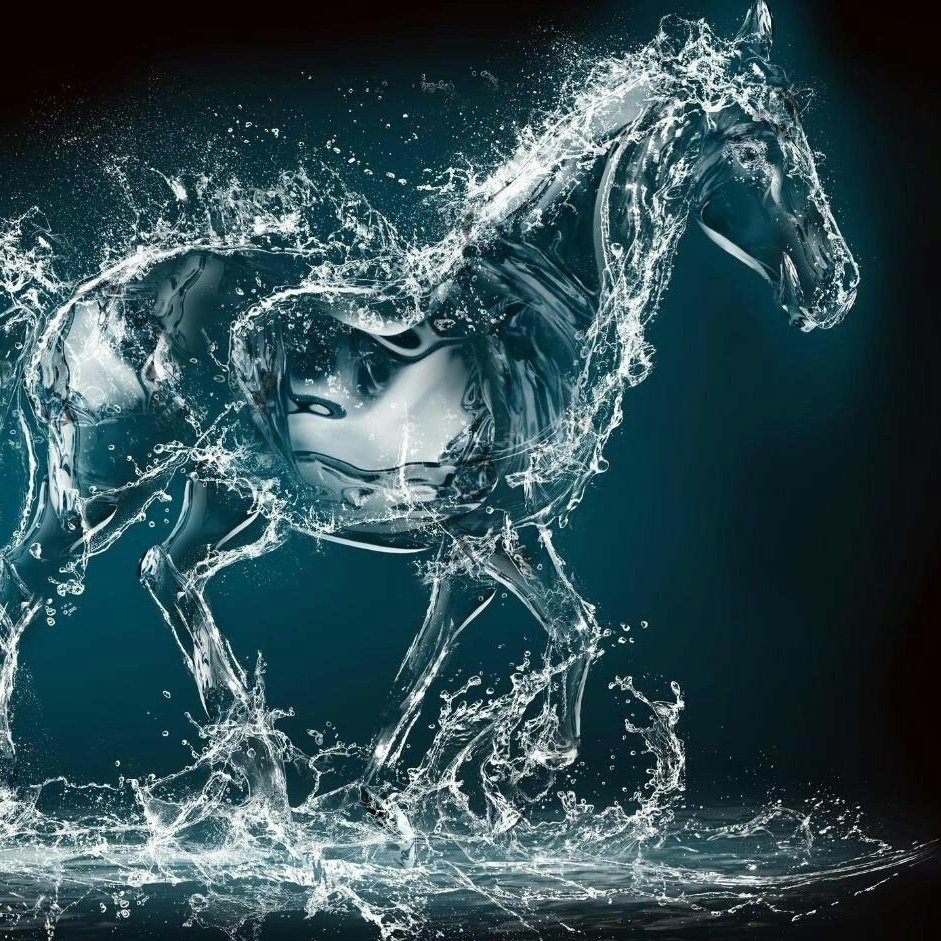 Лошадь водная терапия