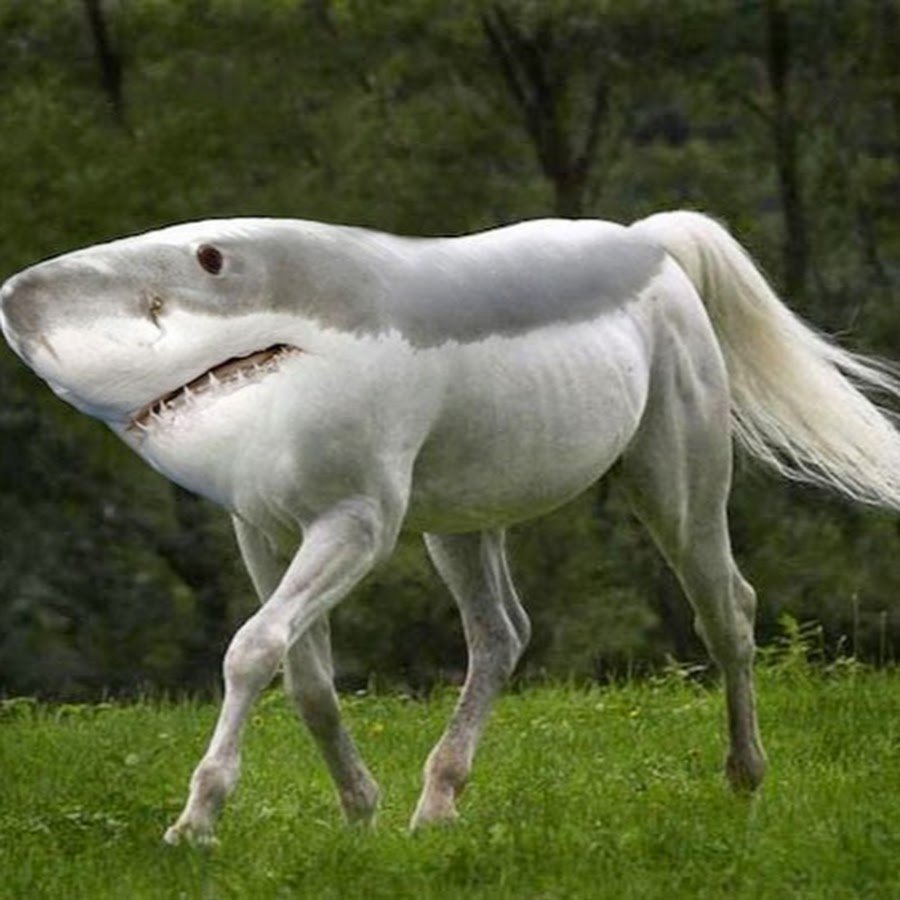 Несуществующие животные