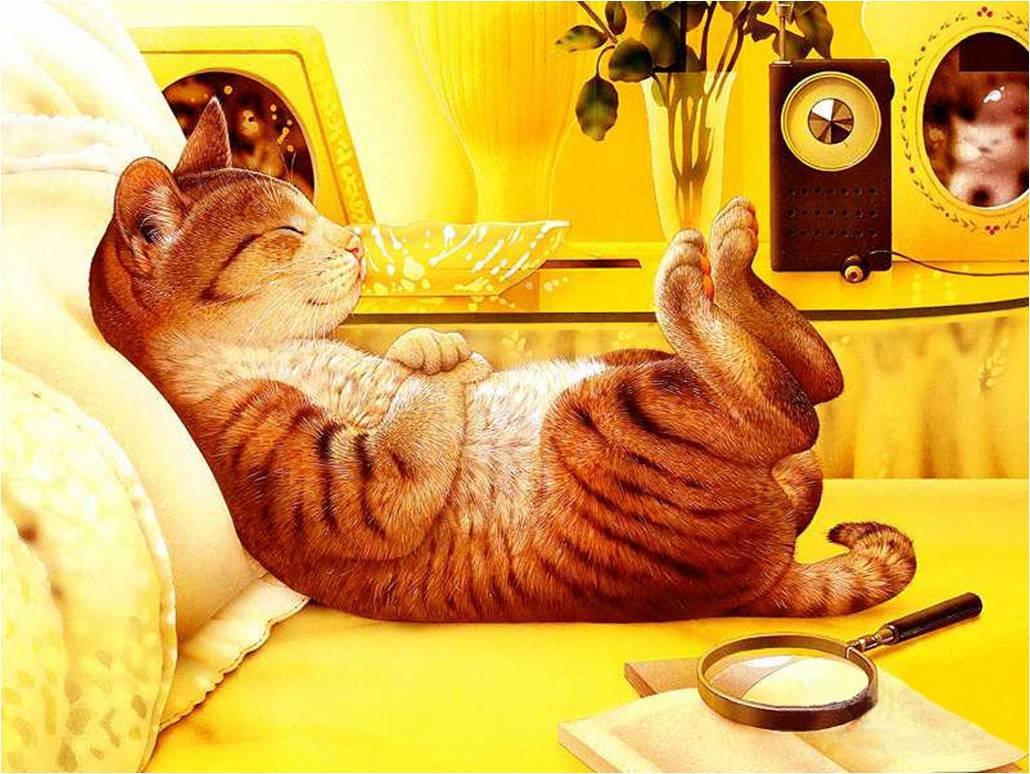 Спящий кот