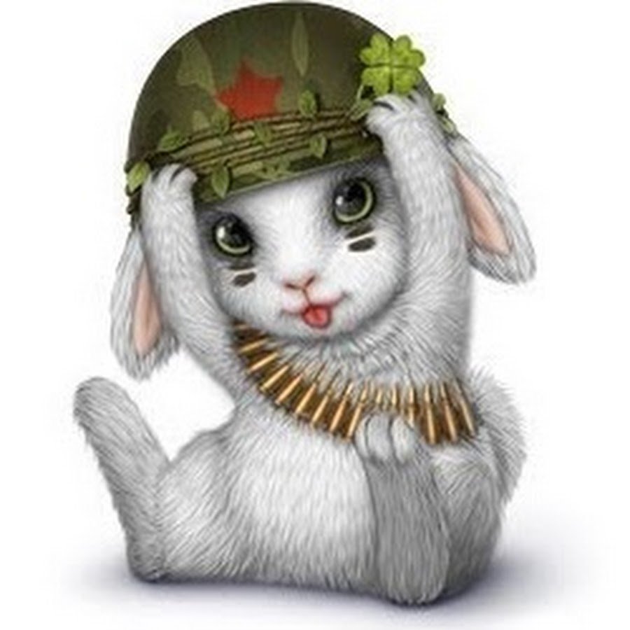 Рыжий кот в ушанке