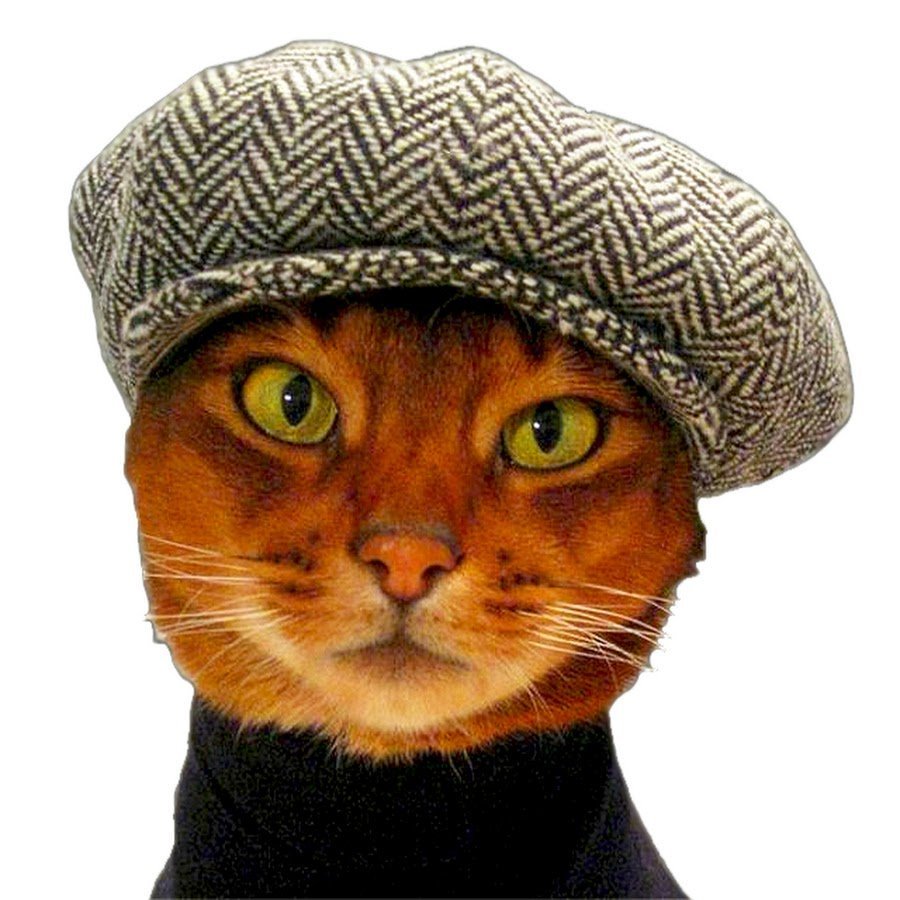 Кот в ушанке с автоматом