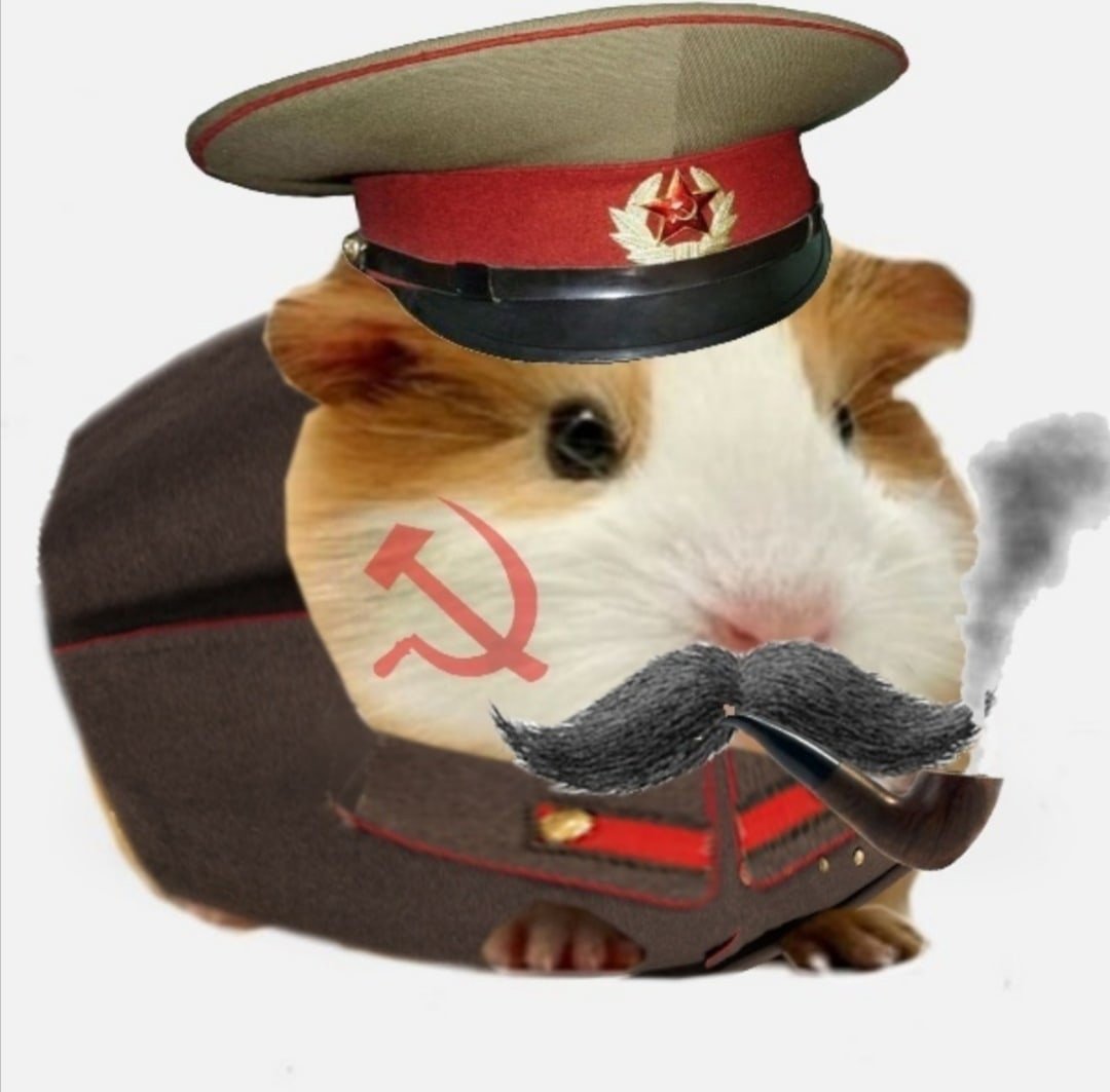 Ушан собака