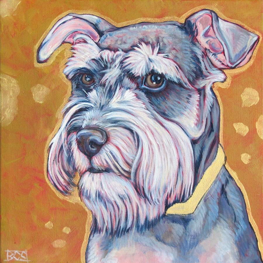 Шнауцер портрет