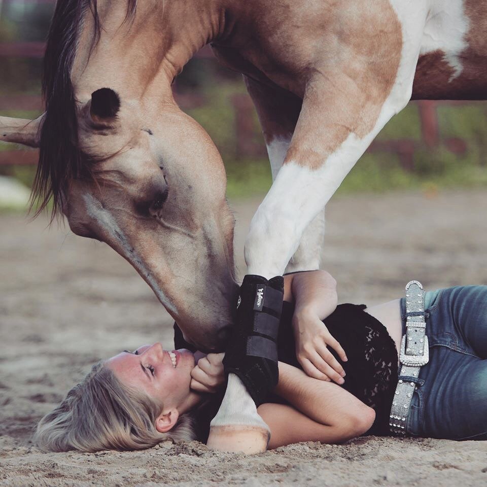 Худая лошадь