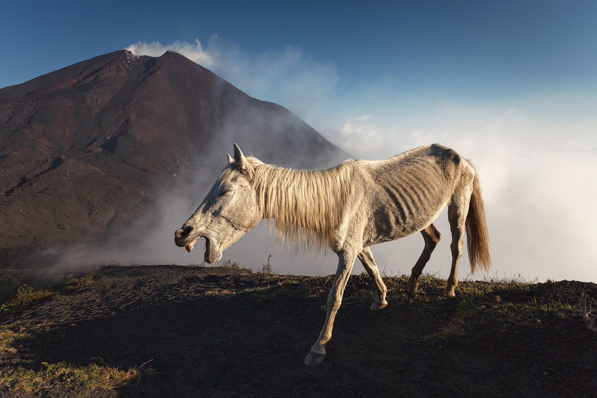 Лошадь вулкан