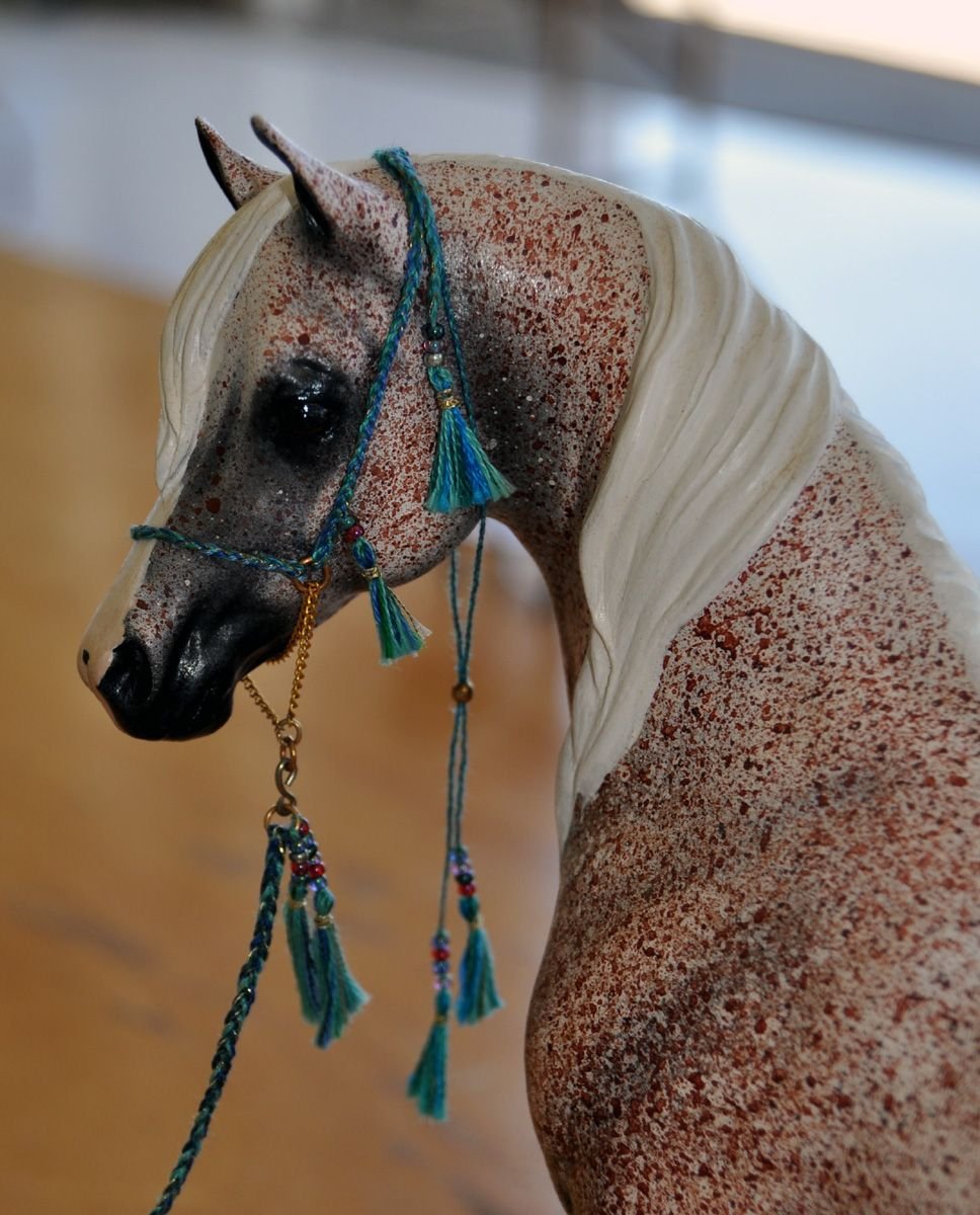 Арабская лошадь Эстетика