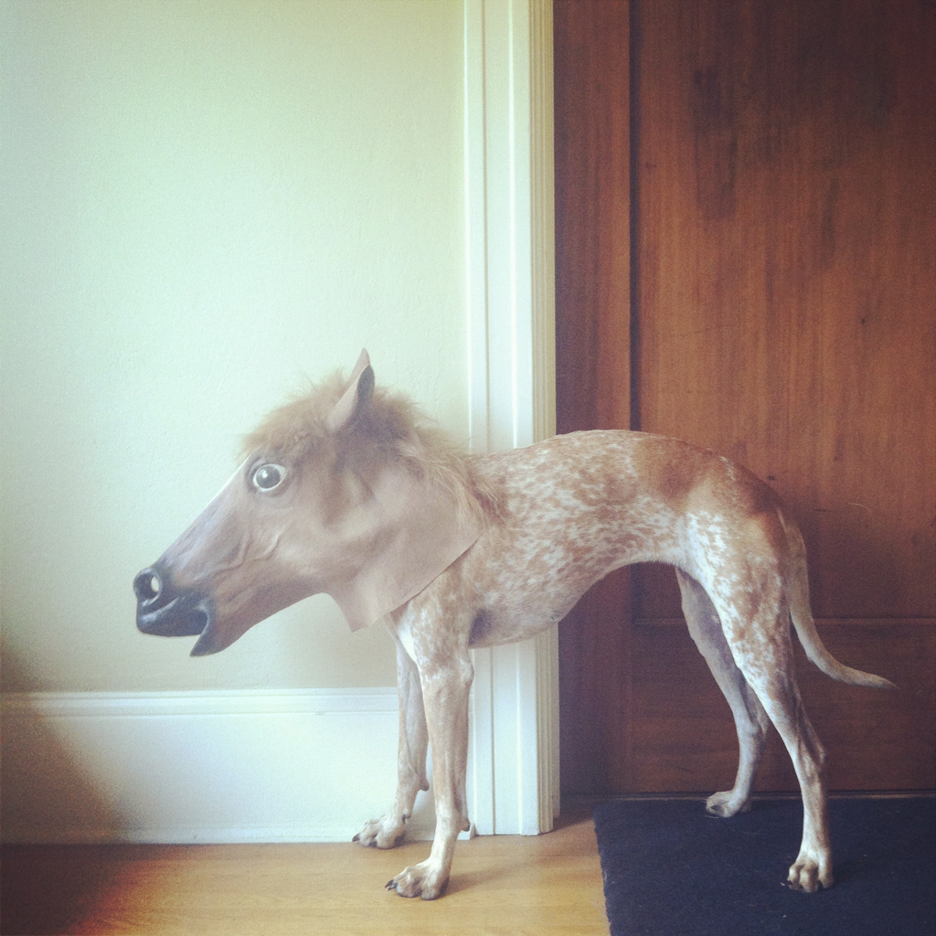 Упоротая лошадь