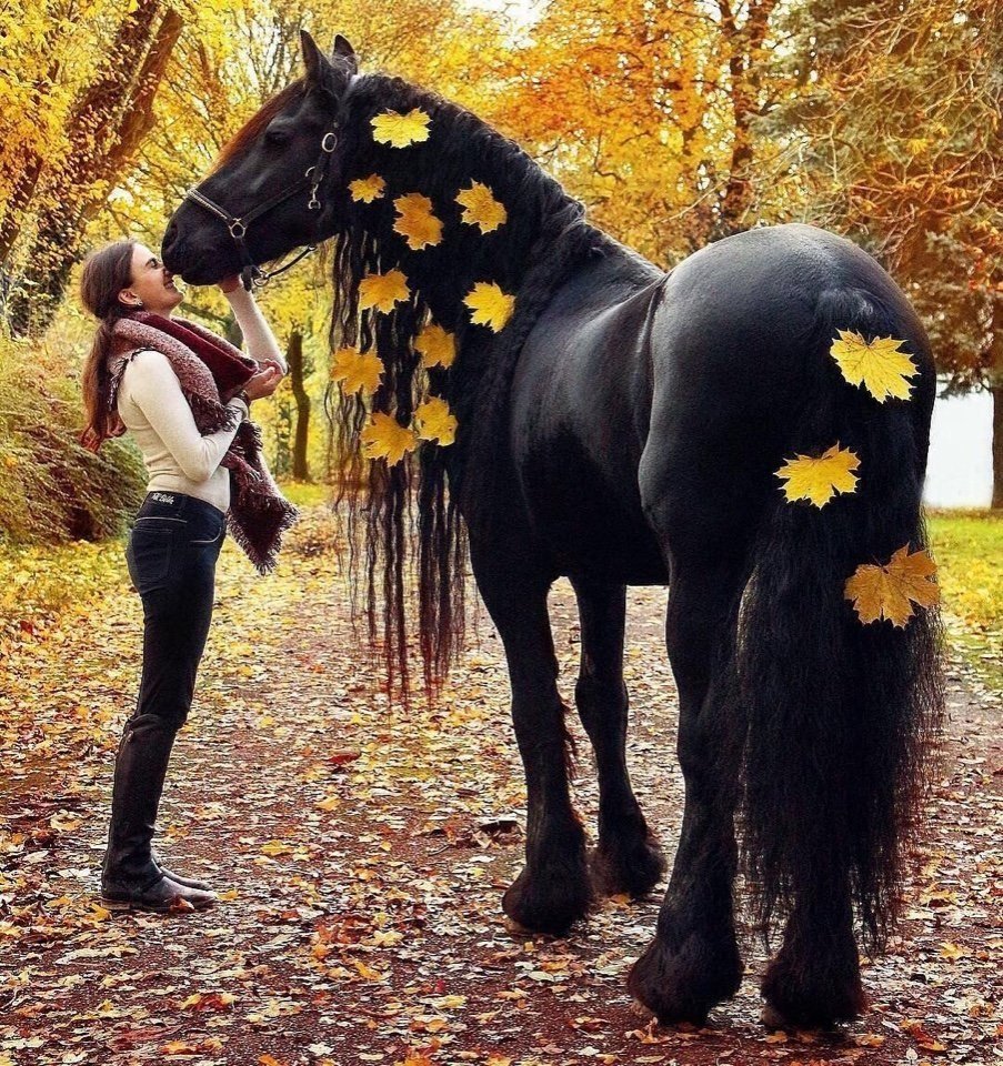 Фотосессия с лошадью осенью