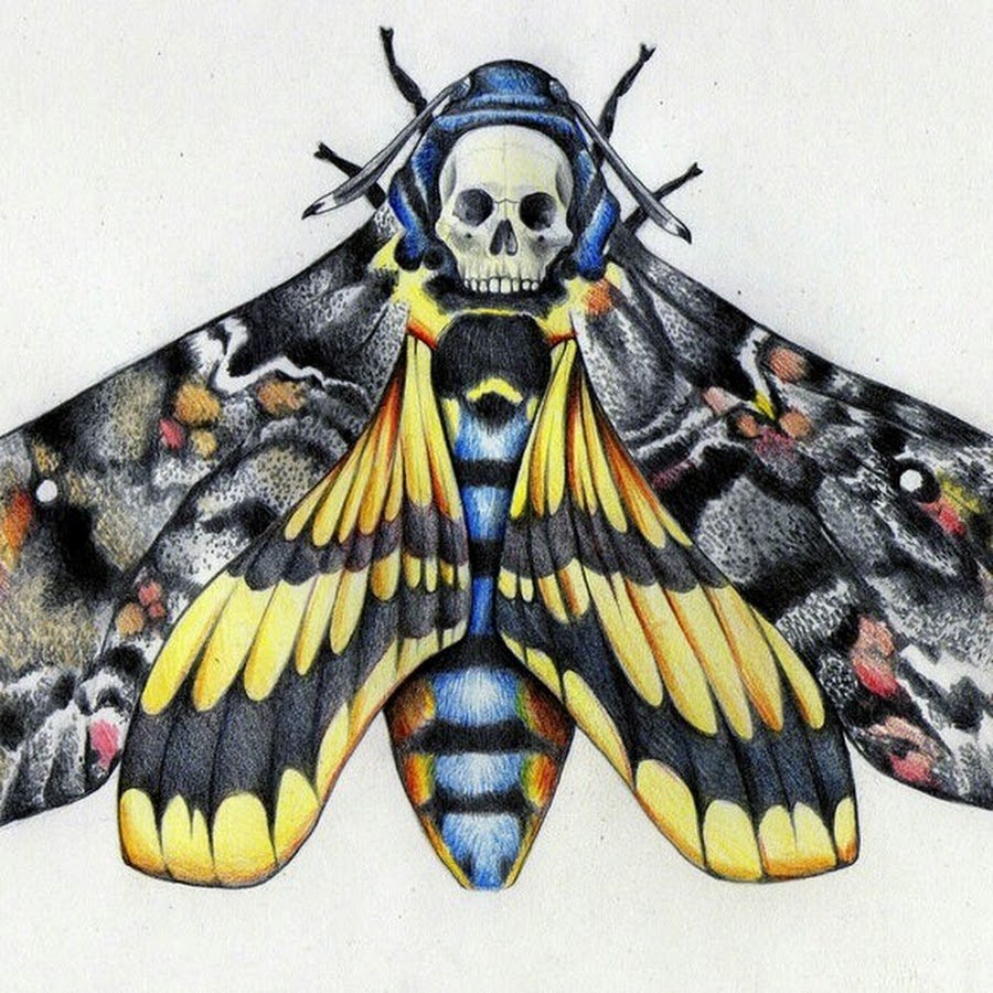 Бабочка Бражник мертвая голова