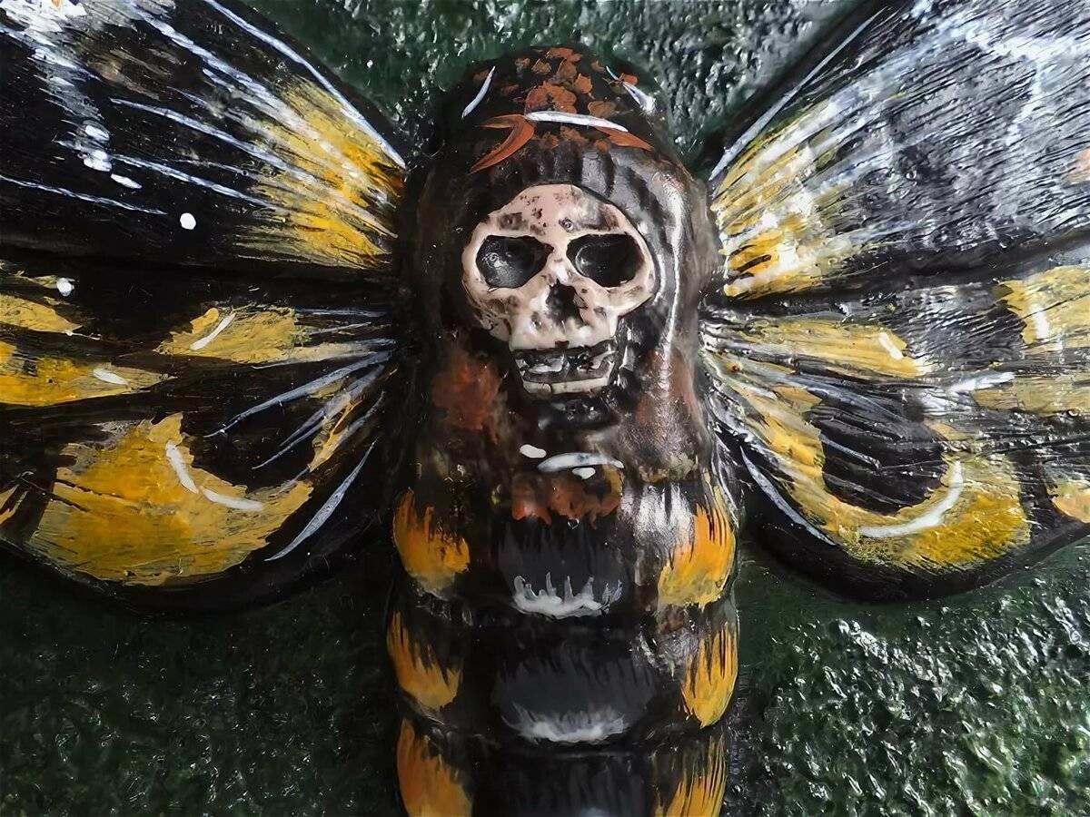 Бабочка Бражник мертвая голова