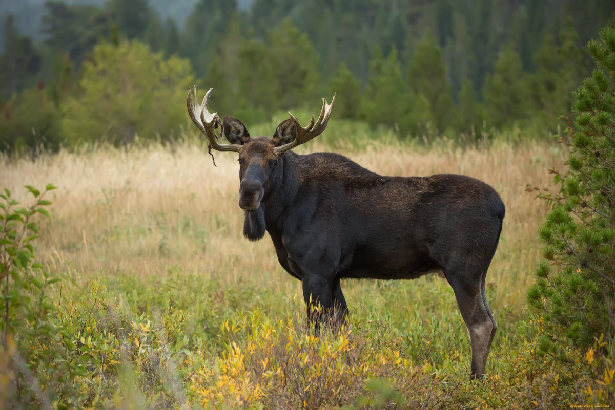 Парк нижняя Кама Татарстана
